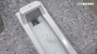 「如廁文化」難推行！　衛生紙丟垃圾桶比例逐年增