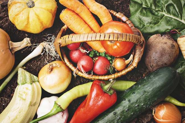 多吃堅果、魚油會聰明？營養師曝「補腦關鍵」　5大營養素別缺少 | 華視新聞