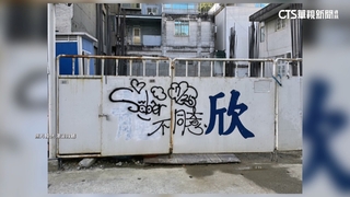 罷團控縱容反罷支持者「巷弄塗鴉」　李彥秀暫無回應