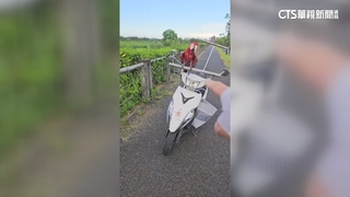 GPS疑遭破壞！飼主讓金剛鸚鵡「放風」　控男強抓傷寵物