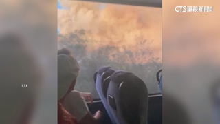 希臘首波熱浪來襲　24小時內爆發42起森林野火