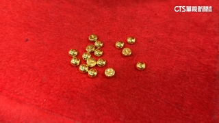 刷15萬給3千佣金！　一家五口疑誤信詐團投資黃金豆