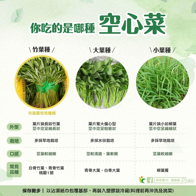 一圖搞懂空心菜家族！ 農糧署教1招延長保存　 | 華視新聞