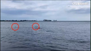 76歲翁疑遭野狗追咬溺水　送醫搶救仍不治