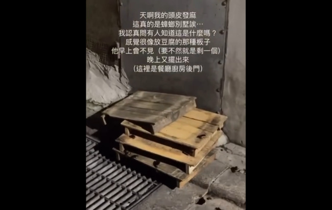 北市知名老店「豆腐板爬滿蟑螂」　業者道歉：停售豆腐系列2週 | 華視新聞