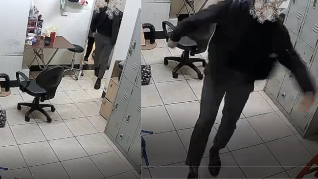 遭店貓攻擊 男友報復怒踹　反致貓受傷 新北動保處開罰1.5萬元罰鍰 | 華視新聞