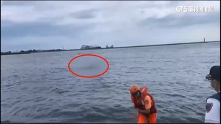 驚！7旬男海泳疑遭3浪犬衝海咬傷　送醫不治