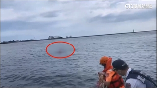 76歲泳客海泳疑遭3浪犬包圍攻擊　大量出血亡