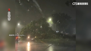 丹娜絲強風吹倒台南路樹　壓中汽車一家三口受困