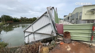 丹娜絲挾17級強風　雲林豬舍大門吹到變形