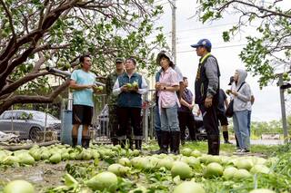 「丹娜絲」重創台南！「文旦掉滿地」農民欲哭無淚　黃偉哲：全力協助災損補助