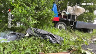 颱風夜趕早市　車遭倒塌椰子樹狠砸　果農父死.兒昏迷
