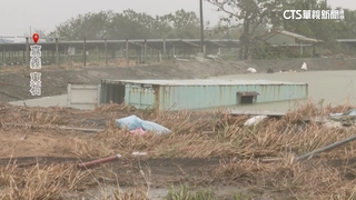 丹娜絲重創嘉義　神農獎得主：損失幾10萬