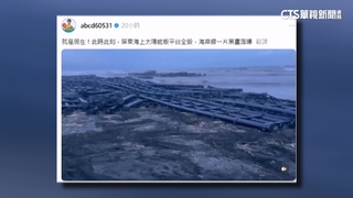 羅廷瑋控「太陽能板平台」全毀　綠駁：實驗浮台非發電設施