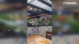 瓜地馬拉5.2地震！　賣場民眾驚逃.至少已37起餘震