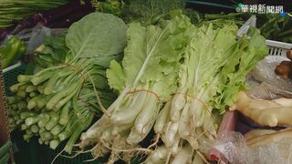 丹娜絲釀全台農損逾10億！菜價恐漲？　農糧署：已備好滾動倉儲