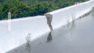 丹娜絲重創台南　東山區停水停電4天　約三百戶受影響