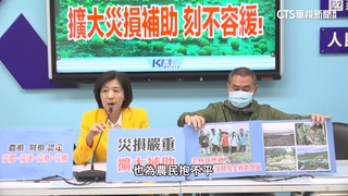丹娜絲重創南台灣！藍籲擴大補助　綠委批「鱷魚眼淚」