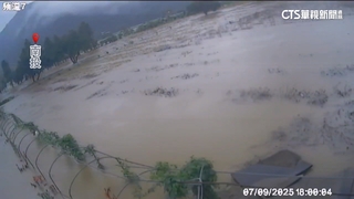 逢雨必淹！　南投金針花田水淹1公尺高成「花海」