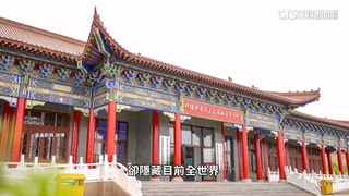 傳中國擬買11.5萬塊輝達晶片　打造新疆AI帝國