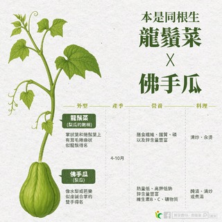 本是同根生！農糧署曝「2蔬果」是梨瓜一部分　隨便料理都好吃