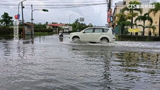 大雨又逢滿月大潮　東港東津里一度水淹膝蓋