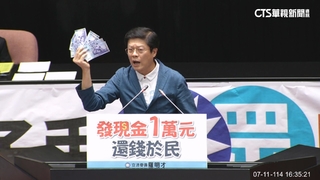 刪台電撥補！藍提「普發一萬」三讀通過　綠舉牌抗議