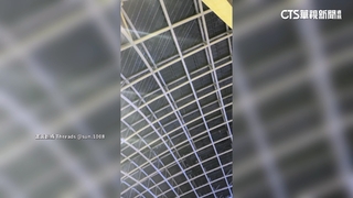 大巨蛋變「室內淋浴間」？　粉絲淋雨看五月天演唱會