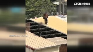 2工人無裝備屋頂拆鐵皮　勞檢處：勒令停工.最高罰30萬