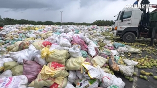 警義消怨撿落果「專業不被尊重」　消防局：未強制