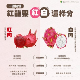 火龍果紅、白肉怎麼分？農糧署曝「3大差異」　營養又消暑
