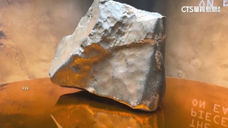 蘇富比拍賣結果出爐　最大塊火星隕石1.5億賣出