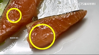 米其林一星遭控"魚塊有寄生蟲"　衛局7/16稽查已通過