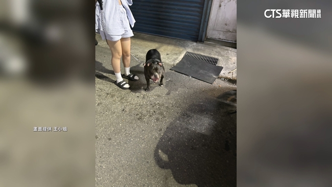 女騎單車被狗咬腳趾求償15萬　飼主只願賠6600 | 華視新聞