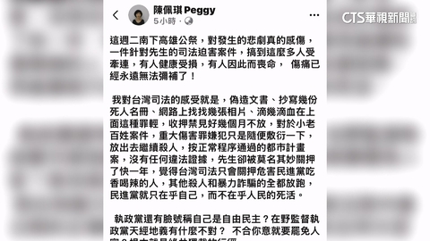 白合體北市5藍委!陳佩琪首公開「反罷」 憂「先生不會被放出」