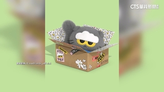 GD愛貓Zoa出道　聯名IP角色8月快閃台北