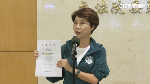 遭控論文抄襲 陳亭妃怒告獲不起訴:選舉烏賊戰
