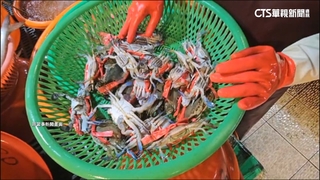 民眾控買到缺腿臭蟹　屏東華僑市場：若屬實　記點罰停業