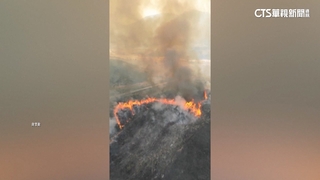 阿爾巴尼亞熱浪野火　當局出動軍隊控制火勢