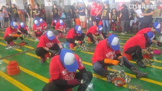誰最會剝？嘉義東石「剝蚵大賽」登場　百位參賽者爭冠