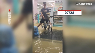 朴子水漫超商「購物如渡河」　養豬場豬溺死慘損上千萬