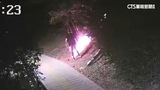 保加利亞爆發森林大火　已燒毀上萬英畝土地