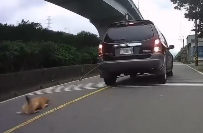 路上驚見「車尾綁狗拖行」！飼主稱家人疏忽　動保處重罰7.5萬 | 華視新聞