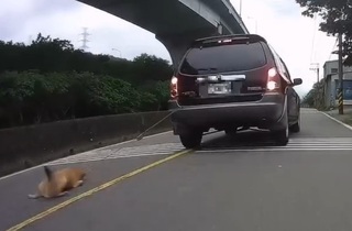 路上驚見「車尾綁狗拖行」！飼主稱家人疏忽　動保處重罰7.5萬