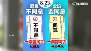 「棄公投保立委」惹議　南投縣府發聲明：挺核三