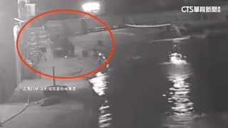 20斤龍膽石斑上鉤狂搏鬥　釣客被拖下釣池救起