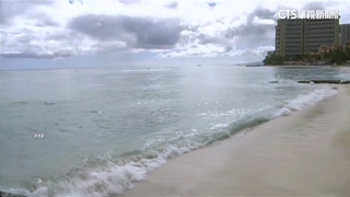 夏威夷海嘯警報！　海空交通疏散　民眾開車逃塞爆