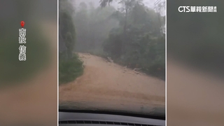 南投信義鄉豪雨炸土石流　車道遭淹變黃河.樹倒地