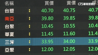 關稅20%出爐！　台股跌逾百點　塑膠類股慘倒一片綠