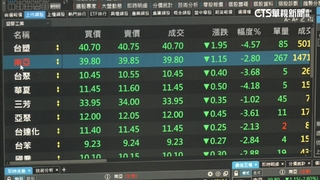 關稅20%出爐！台股跌逾百點　塑膠類股慘倒一片綠